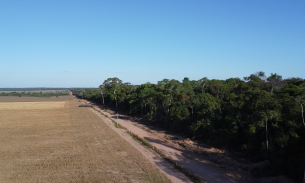 An image of farmland next to Mỹky territory in Brazil